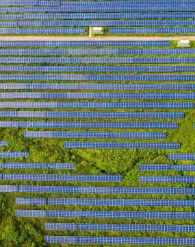 solar panels