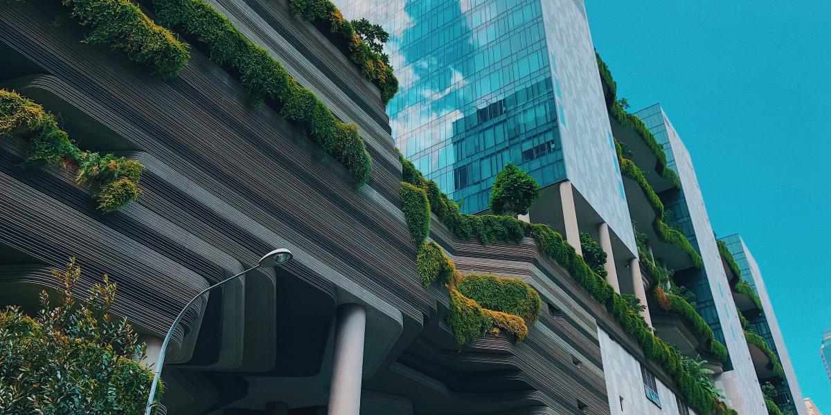 korie cull odocfzovvtc unsplash