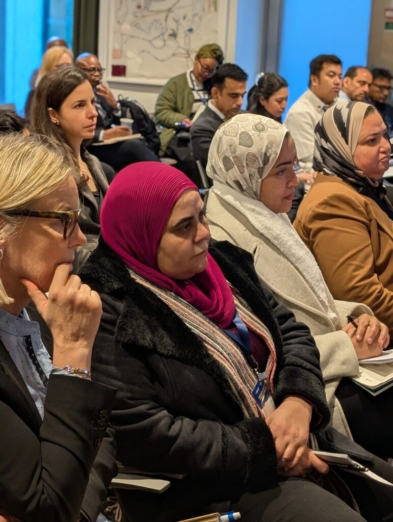 Egyptian delegates at the welcome session with the Swedish government and Swedish Agencies. Photo: Jane Birch/LeadIT 